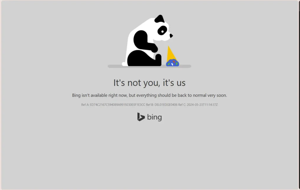 Bing error page

