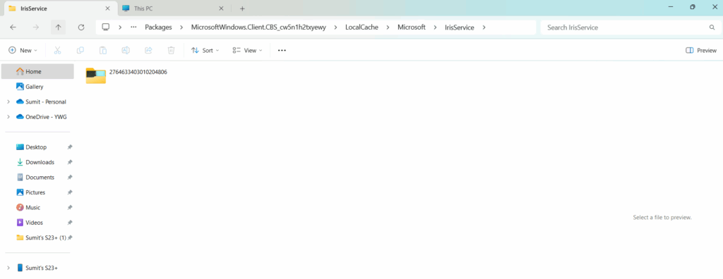 File Explorer Directory structure for Windows Spotlight