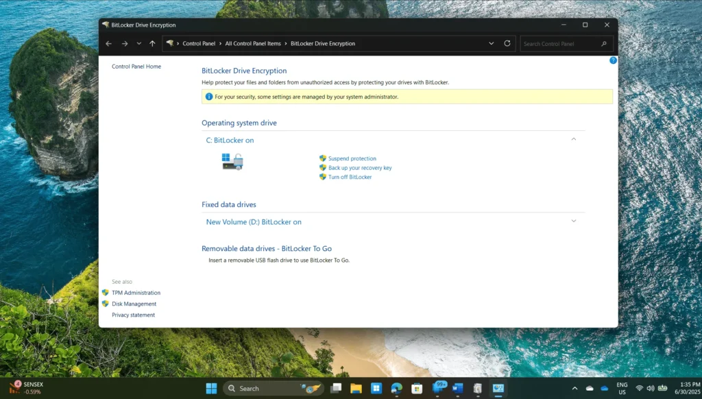 A screenshot of Bitlocker, a feature which can be used to compare Windows 11 Home vs Pro editions