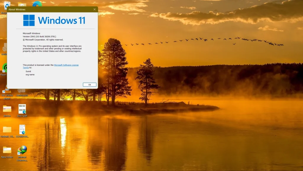 Image showing Windows 11 25H2 in Release Preview ring winver